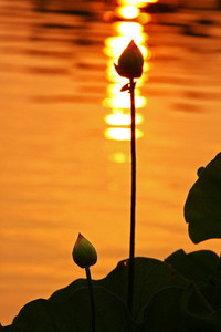 荷兰国脚转投英超球队，担任主力边锋