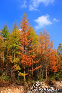 北马其顿国家队蓄势待发，参加欧国联比赛