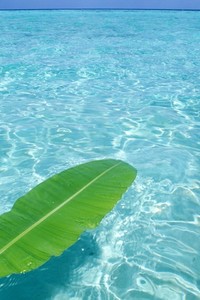 北马其顿国家队蓄势待发，参加欧国联比赛