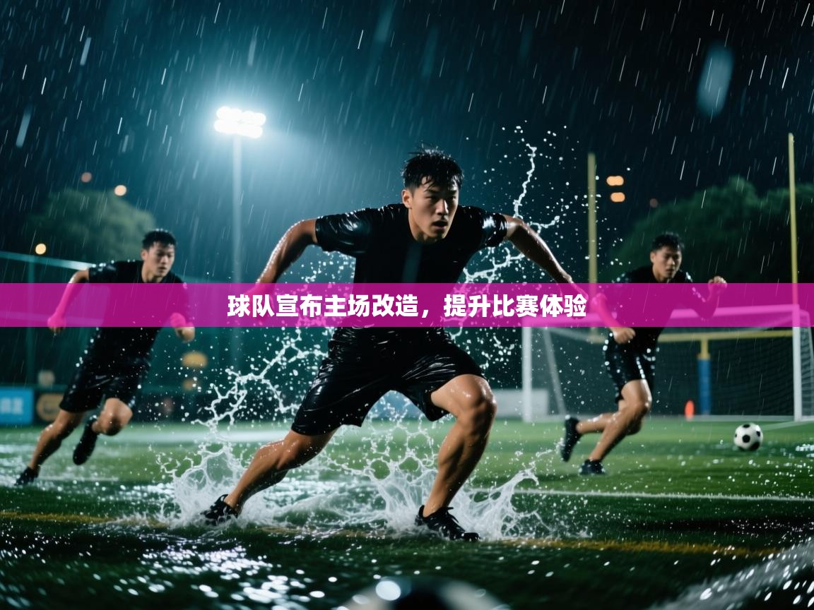球队宣布主场改造，提升比赛体验