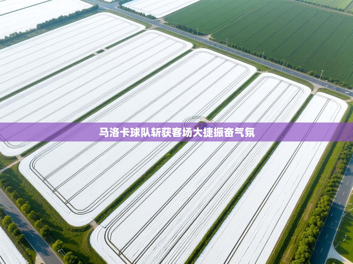 马洛卡球队斩获客场大捷振奋气氛