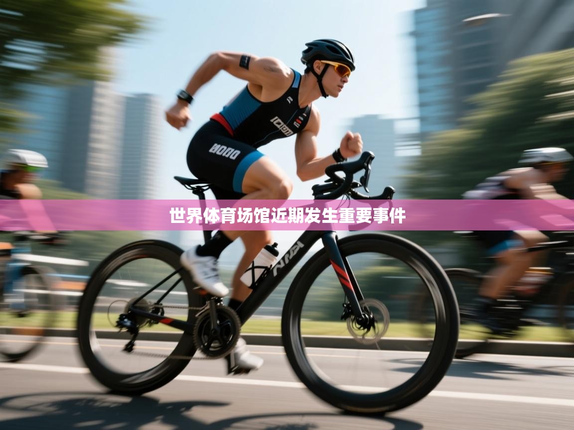 世界体育场馆近期发生重要事件  第2张