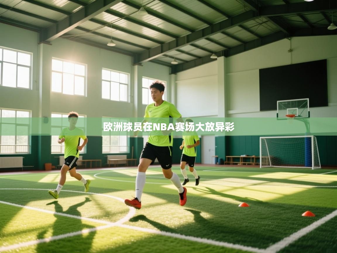 欧洲球员在NBA赛场大放异彩 第1张