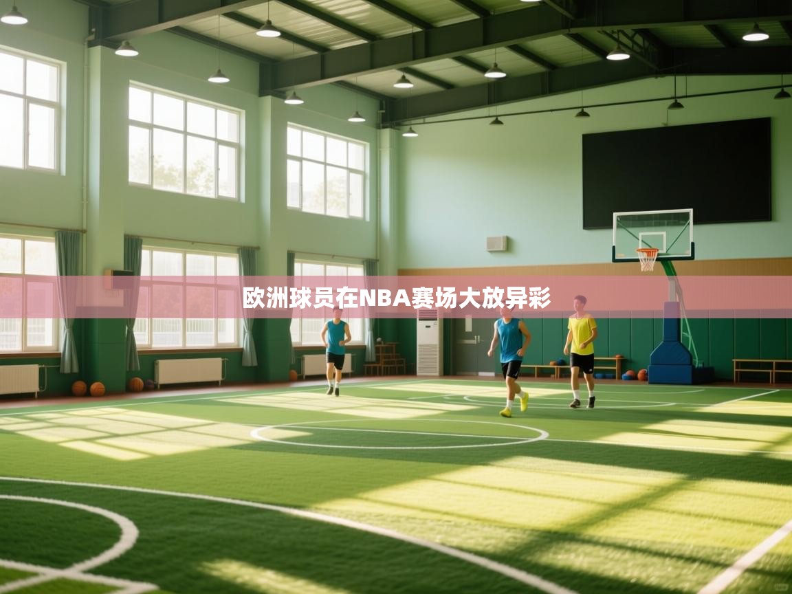欧洲球员在NBA赛场大放异彩 第2张